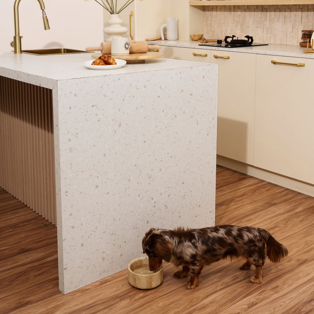 Travertine Pet Bowl
