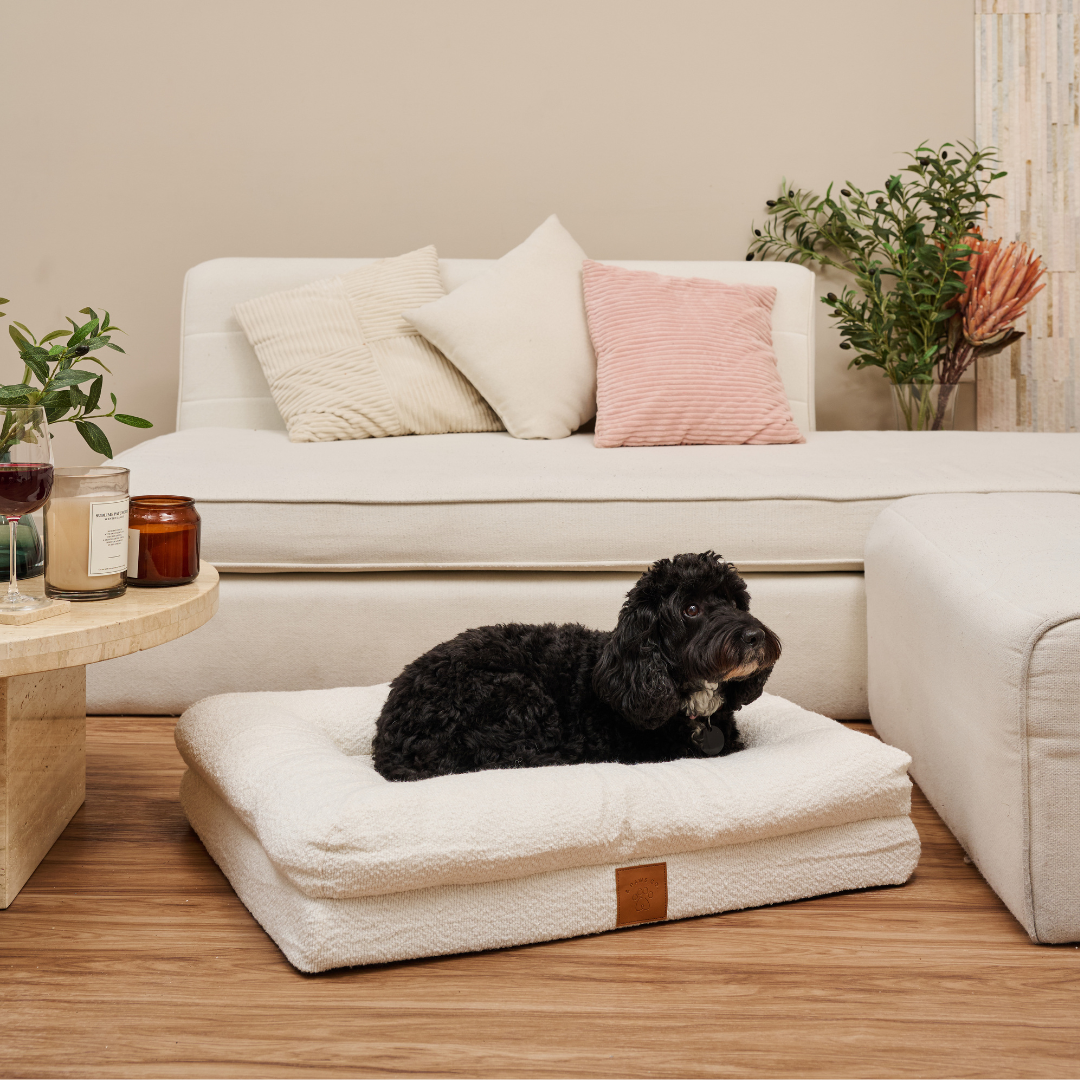 Bouclé dog bed